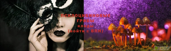 стафф Майский