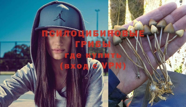стафф Майский