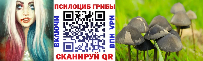 Галлюциногенные грибы Magic Shrooms  сколько стоит  даркнет клад  Нерчинск 